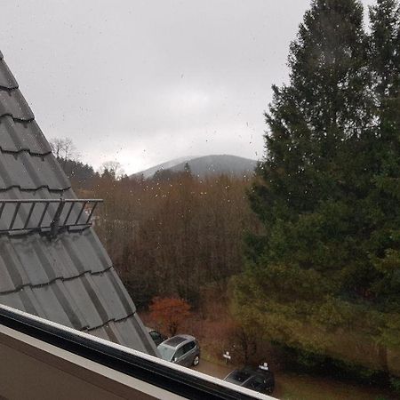 Fewo Allegra Goslar Esterno foto